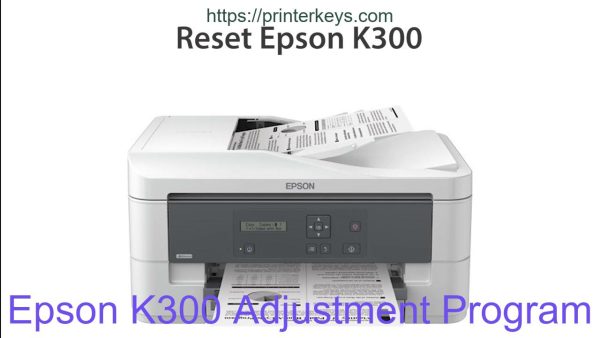 Epson K300 Adjustment Program