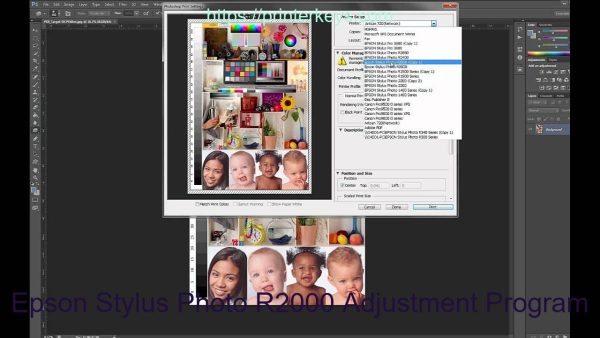 Epson Stylus Photo R2000 Adjustment Program